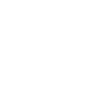 Dresselhaus Logo weiß