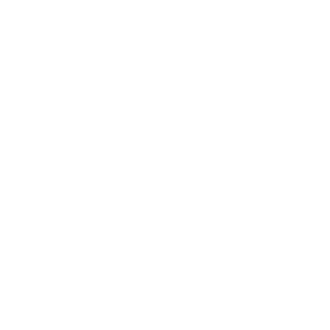 Dresselhaus Logo weiß