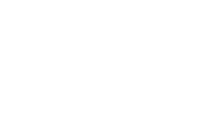 Schwinn Logo weiß