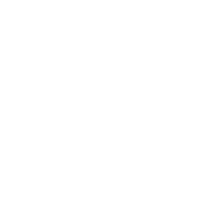 Schwinn Logo weiß