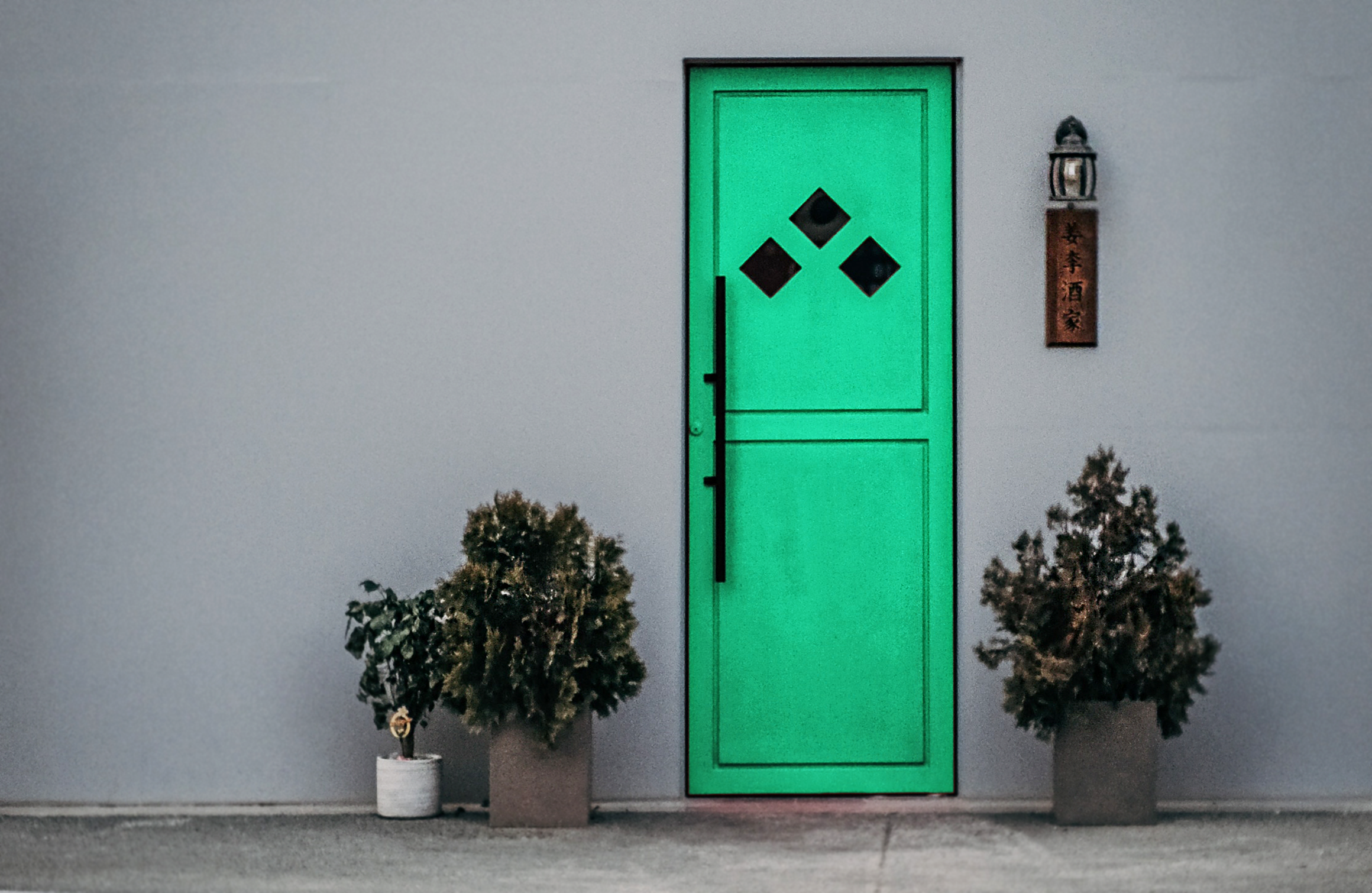 LGM Beschlag - Möbelgriff Zubehör - Türklinken und Schlüsselschilder - Grüne Haustüre an grauer Hauswand