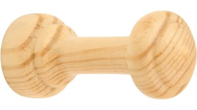 Haken Cremlingen Holz kiefer natur lackiert - 22 mm lang vor weißem Hintergrund