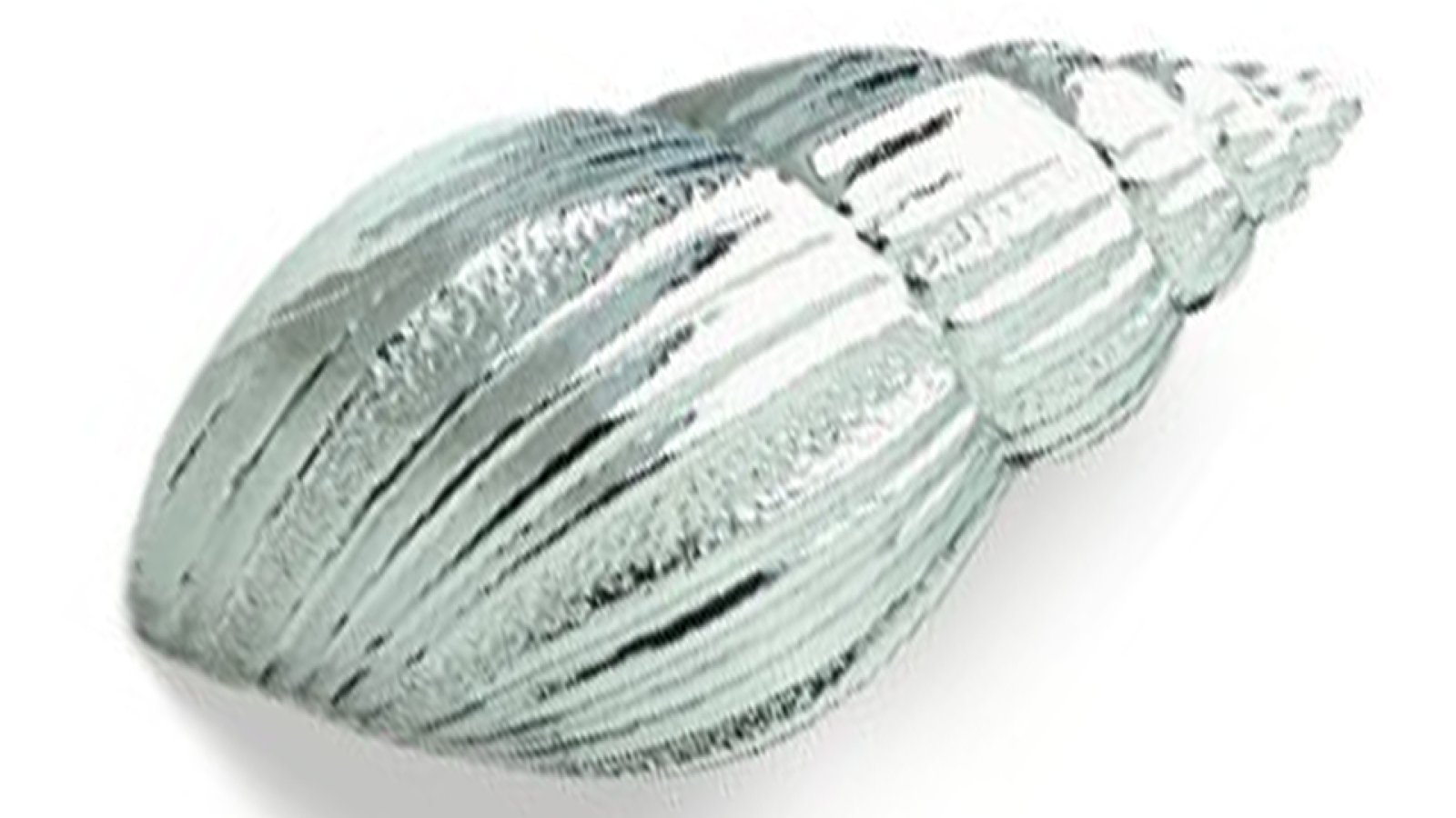 Griff Delbrück Zinkdruckguß - chrom glänzend - 61 mm lang  vor weißem Hintergrund