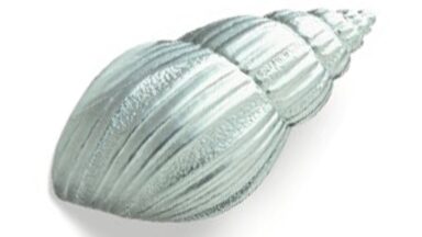 Griff Delbrück Druckguss chrom matt - 61 mm lang vor weißem Hintergrund