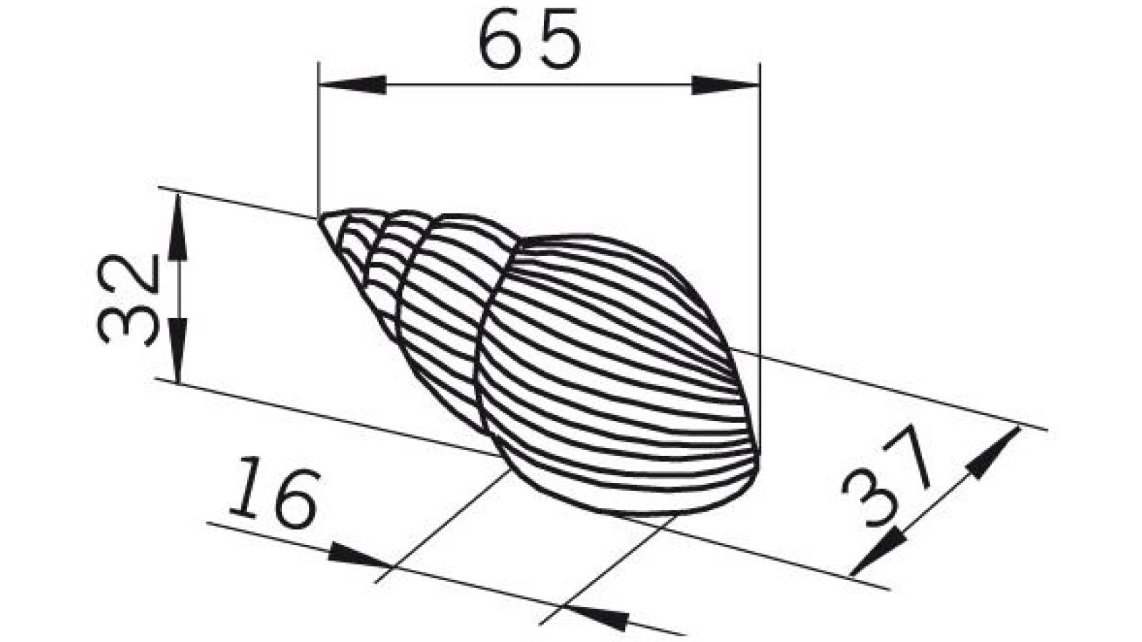 Moebelgriff-Delbrueck-messing-Messing-Zinkdruckguss-laenge-61-548028-technische-zeichnung Griff Delbrück Druckguss glänzend vermessingt - 61 mm lang vor weißem Hintergrund