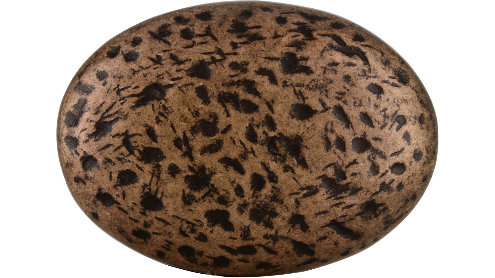 Moebelknopf-Bergneustadt-brueniert-messing-Messing-Zinkdruckguss-laenge-42-614326-front Knopf Bergneustadt Druckguss altmessingfarbig brüniert getrommelt - 42 mm lang vor weißem Hintergrund