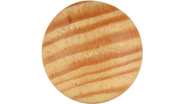 Knopf Bestwig Holz kiefer natur lackiert - 20 mm lang  vor weißem Hintergrund