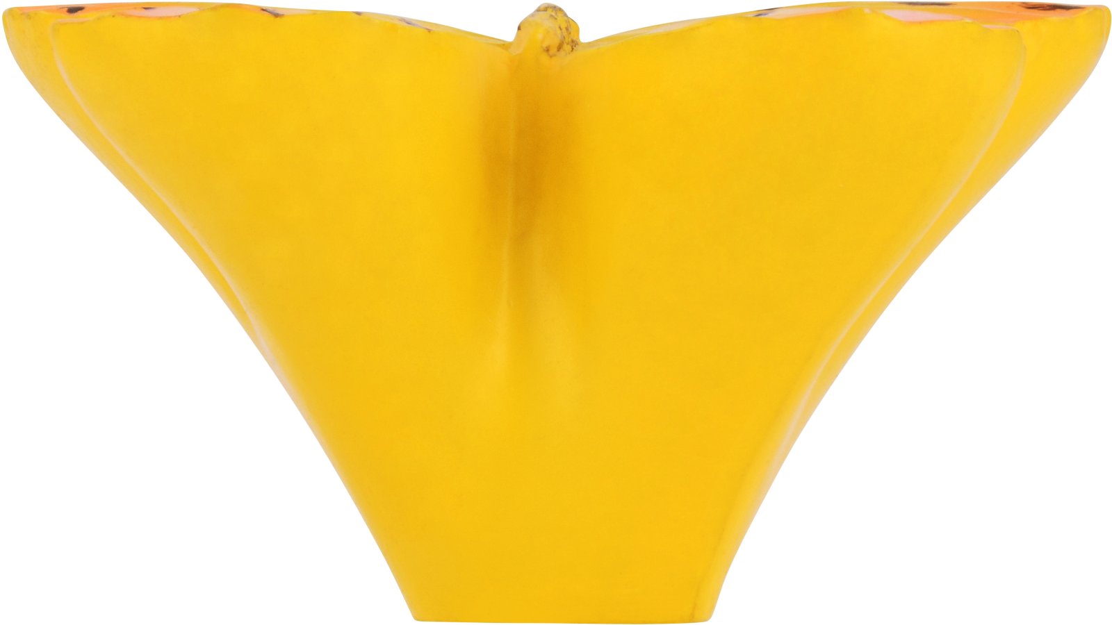 Knopf Füssen Kunststoff bunt - 39 mm lang  vor weißem Hintergrund