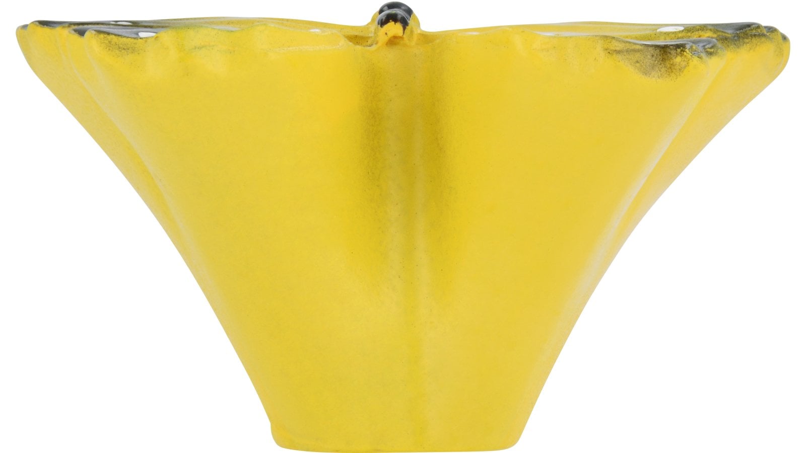 Moebelknopf-Fuessen-bunt-Kunststoff-laenge-40-597550-stehend Knopf Füssen Kunststoff bunt - 40 mm lang vor weißem Hintergrund