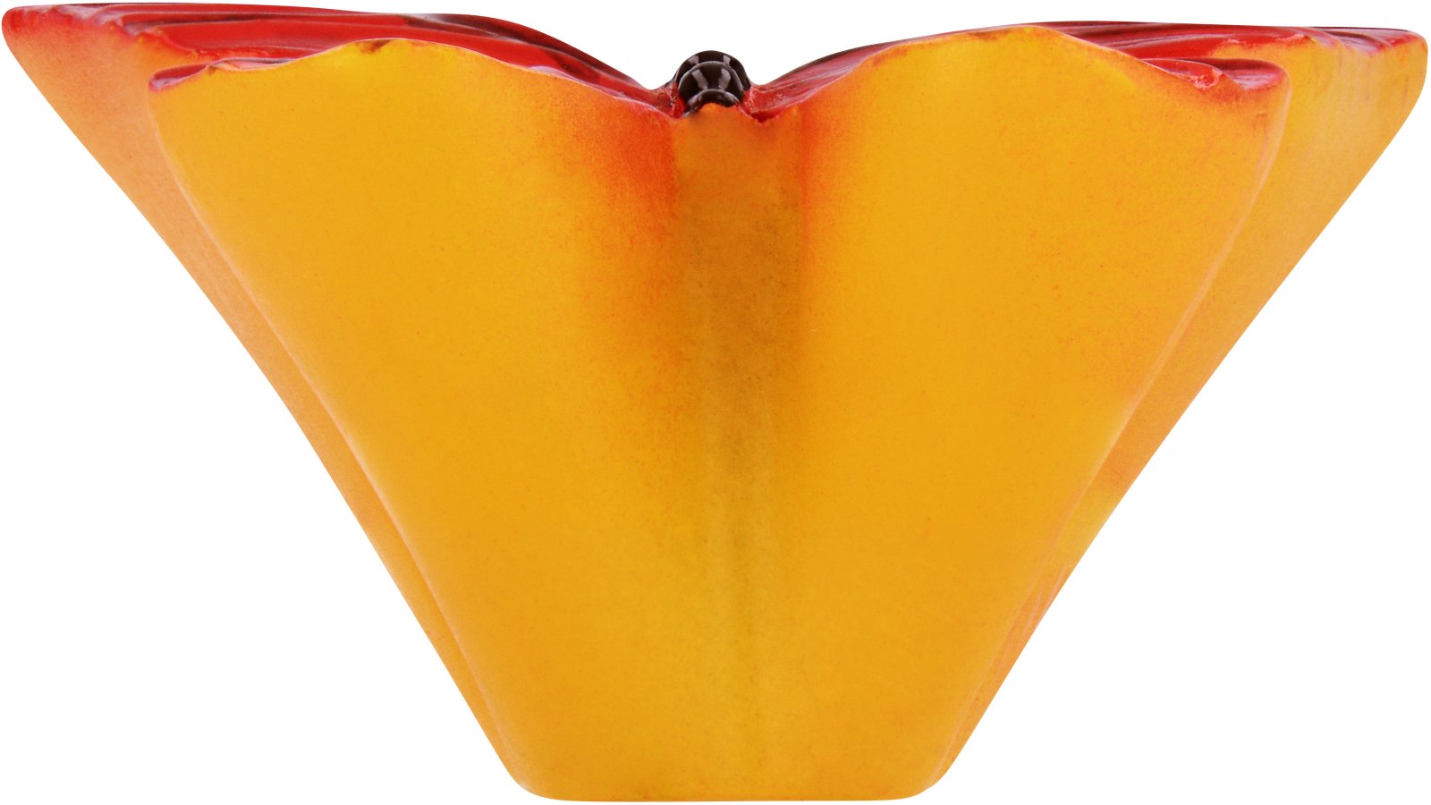 Moebelknopf-Fuessen-bunt-Kunststoff-laenge-44-597564-stehend Knopf Füssen Kunststoff bunt - 44 mm lang vor weißem Hintergrund