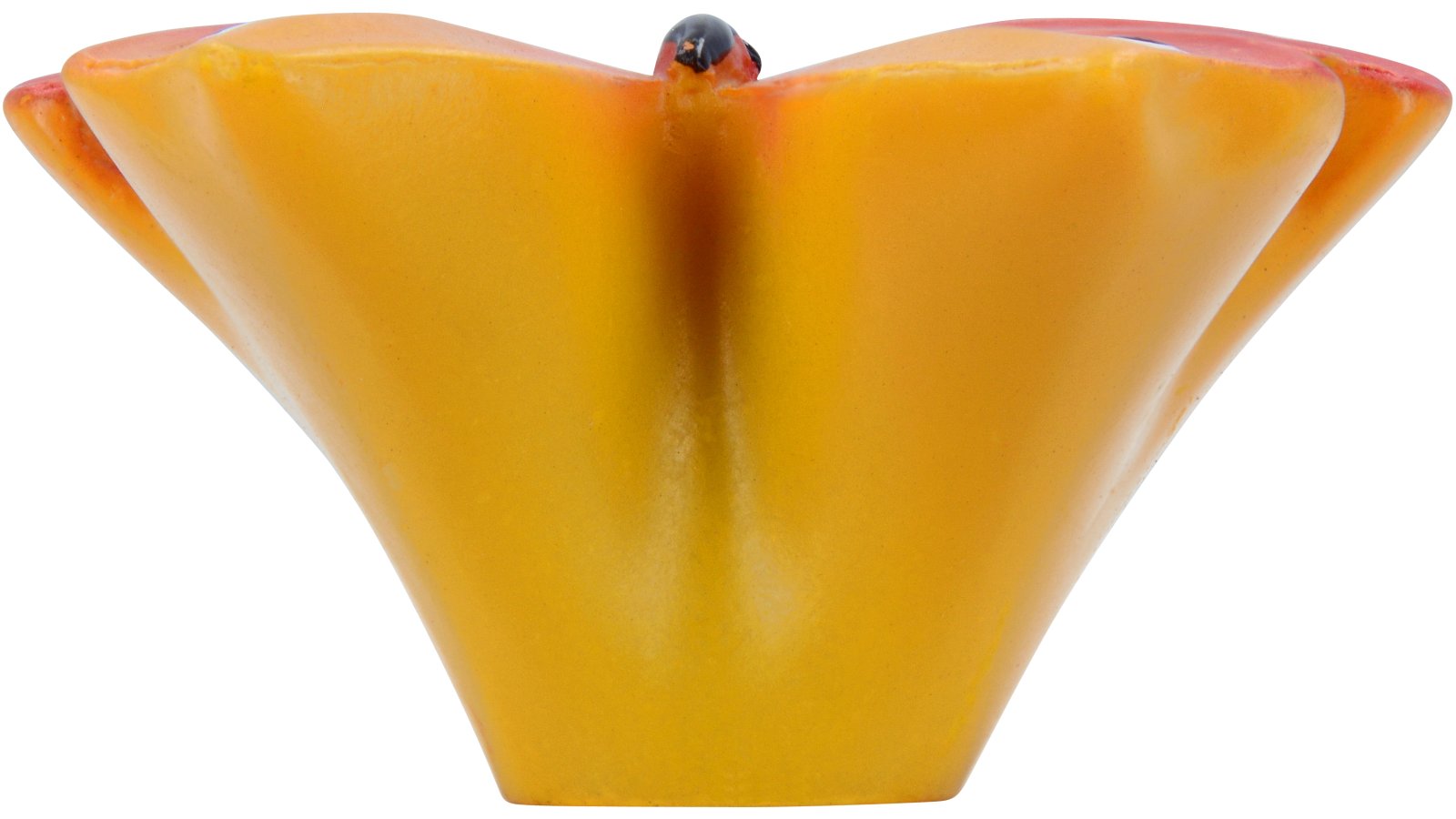 Knopf Füssen Kunststoff bunt - 47 mm lang  vor weißem Hintergrund