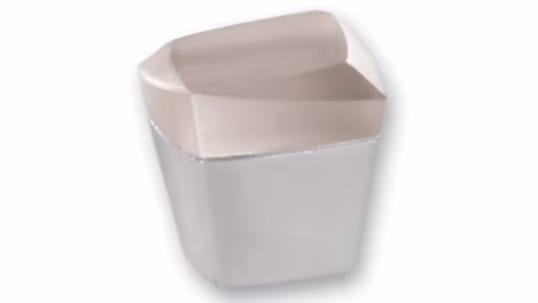 Knopf Hirschaid Kunststoff metallisiert chrom glänzend glaseffekt transparent klar - 23 mm lang vor weißem Hintergrund