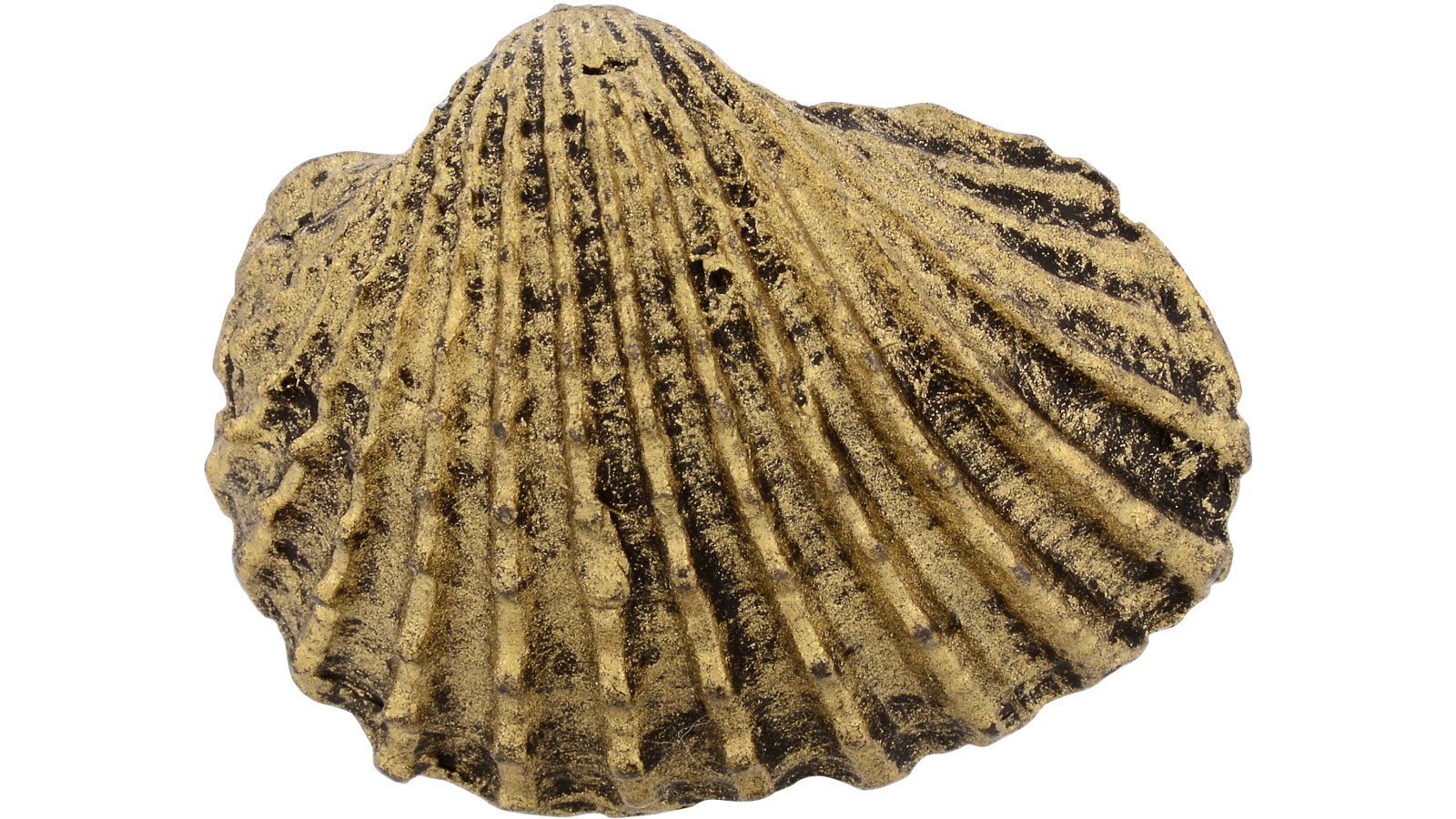 Moebelknopf-Malsch-brueniert-messing-Messing-Kunststoff-laenge-33-605176-front Knopf Malsch Kunststoff altmessingfarbig brüniert - 33 mm lang vor weißem Hintergrund