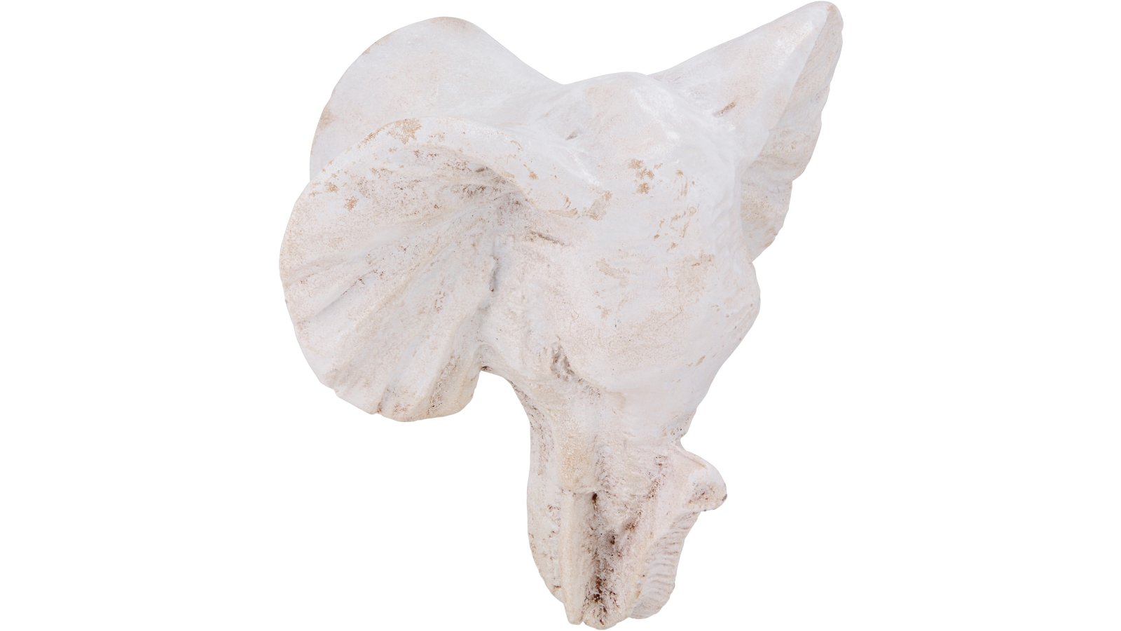 Moebelknopf-Marienheide-elfenbein-Kunststoff-laenge-50-635272-seitlich Knopf Marienheide Kunststoff elfenbein - 50 mm lang vor weißem Hintergrund