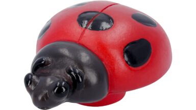 Knopf Pattensen Kunststoff marienkäfer - 52 mm lang vor weißem Hintergrund
