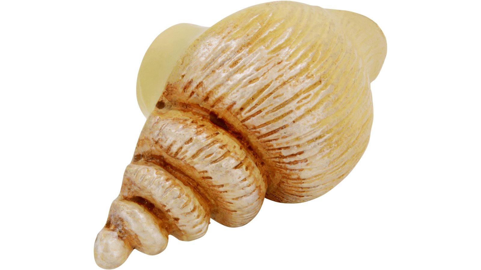 Knopf Ritterhude Kunststoff bunt - 52 mm lang  vor weißem Hintergrund