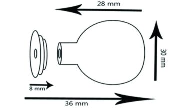 Knopf Tangermünde Zamak Porzellan antik weiß Siebdruck Korn gelb grün - 30 mm lang  vor weißem Hintergrund