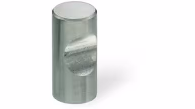 Zylinderknopf Traunstein Edelstahl gebürstet - 12 mm lang vor weißem Hintergrund