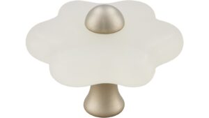 Knopf Euskirchen Kunststoff-Druckguss glaseffekt matt natur matt vernickelt - 40 mm lang  vor weißem Hintergrund