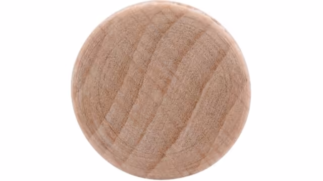 Knopf Havixbeck Holz buche natur lackiert - 14 mm lang  vor weißem Hintergrund