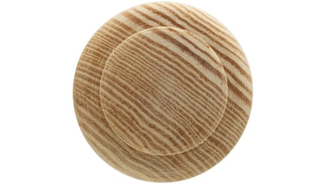 Knopf Jork Holz kiefer roh - 30 mm lang  vor weißem Hintergrund