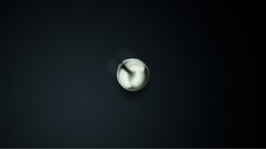 Kugelknopf Bad-Dürkheim Edelstahl gebürstet - 20 mm lang  vor weißem Hintergrund