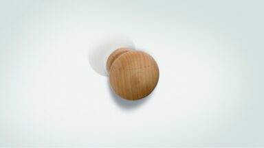 Designknopf Eppstein Buche roh geschliffen - 40 mm lang  vor weißem Hintergrund