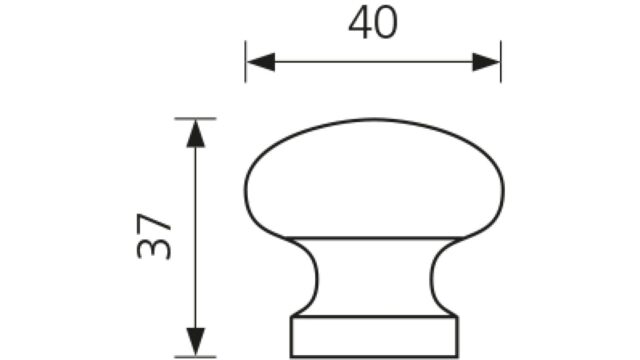 Designknopf Eppstein Buche roh geschliffen - 40 mm lang  vor weißem Hintergrund