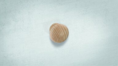 Designknopf Schönefeld Buche roh geschliffen - 35 mm lang  vor weißem Hintergrund
