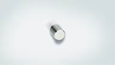 Zylinderknopf Bad-Rappenau Messing edelstahlfinish - 21 mm lang  vor weißem Hintergrund