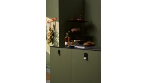 Griffleiste LEAF Zink - Schwarz matt - 43 mm lang  vor weißem Hintergrund