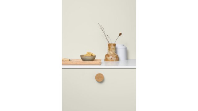Knopf CIRCLE Eiche FSC 100% - Lackiert - 50 mm lang  vor weißem Hintergrund