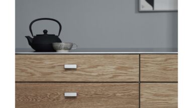 Griffleiste ELAN Aluminium - Edelstahloptik - 50 mm lang  vor weißem Hintergrund