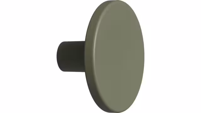 Knopf PLATO OceanIX Plastix Kunststoff - Grün - 42 mm lang vor weißem Hintergrund