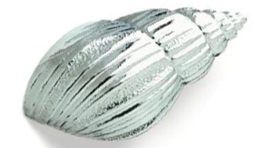 Griff Delbrück Zinkdruckguß - chrom glänzend - 61 mm lang vor weißem Hintergrund